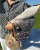 28.png