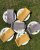 37.png